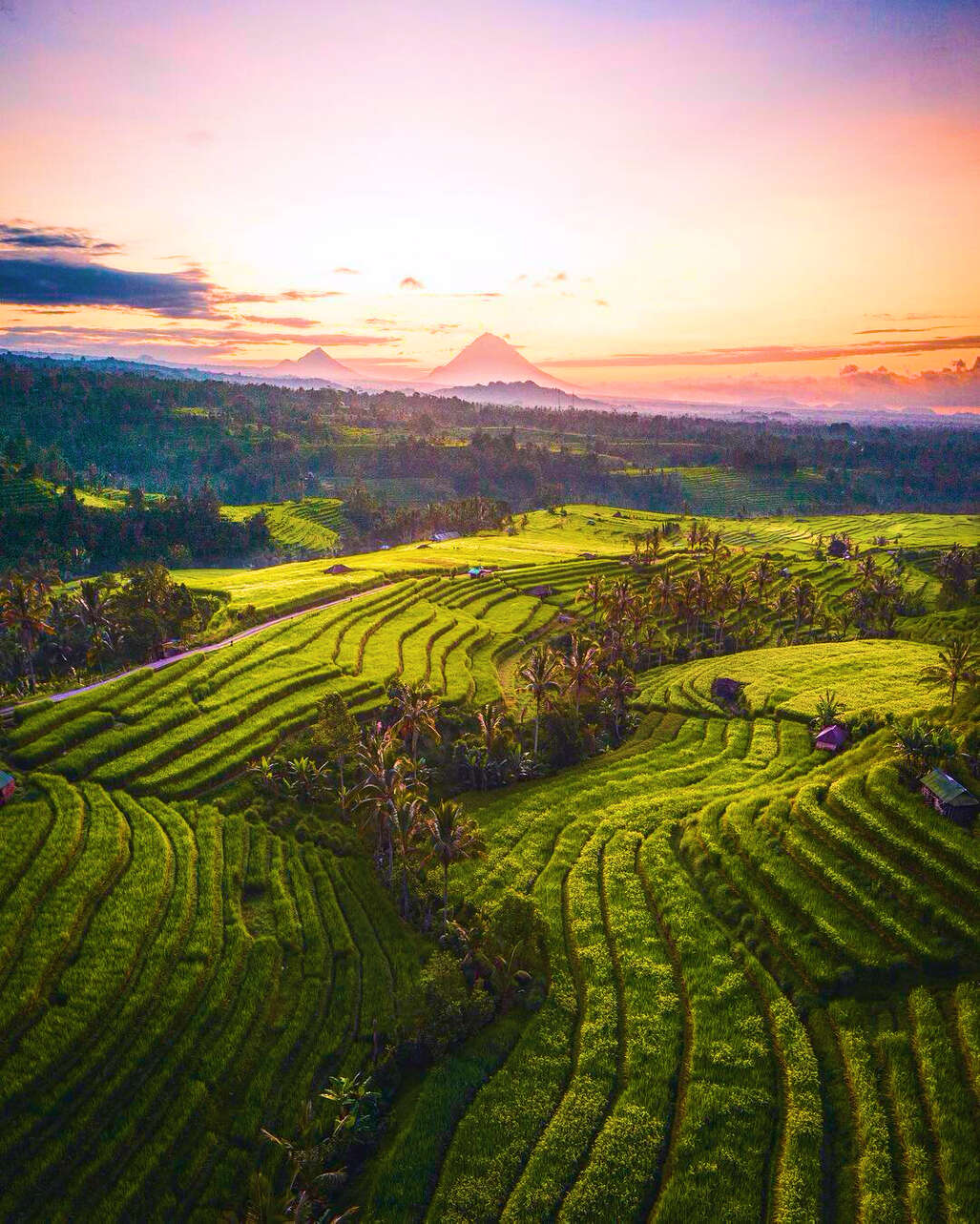 Peyzaj_Ostrov-Bali.jpg