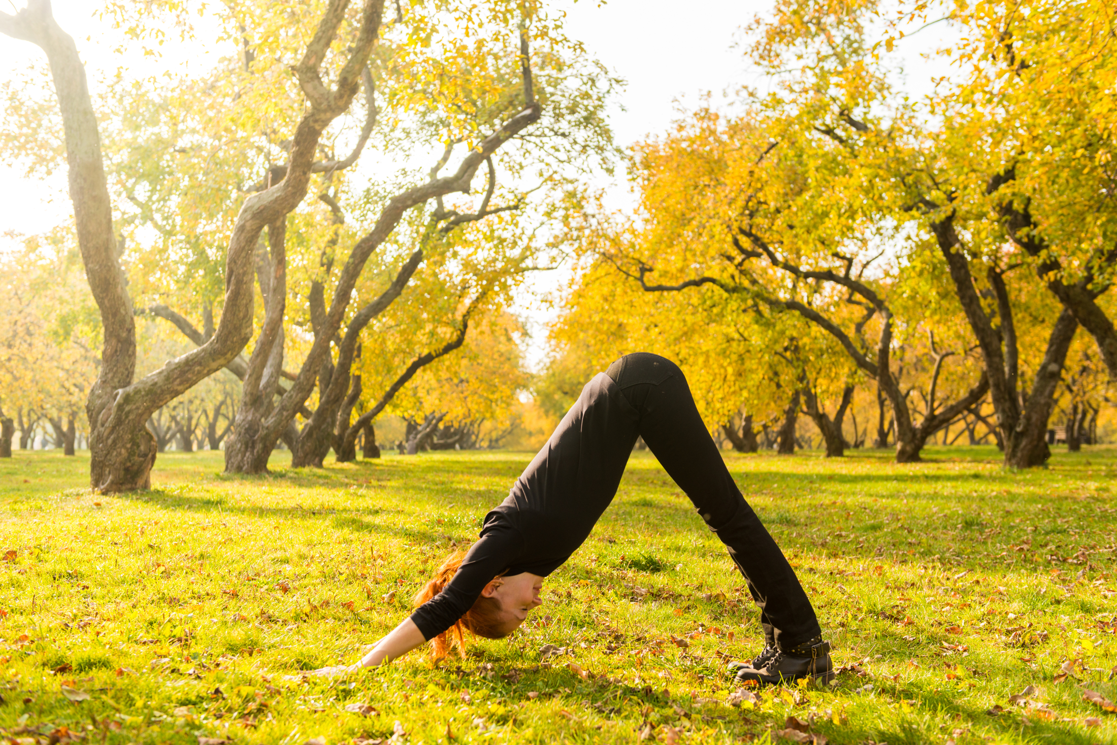 woman-doing-yoga-autumn-park.jpg