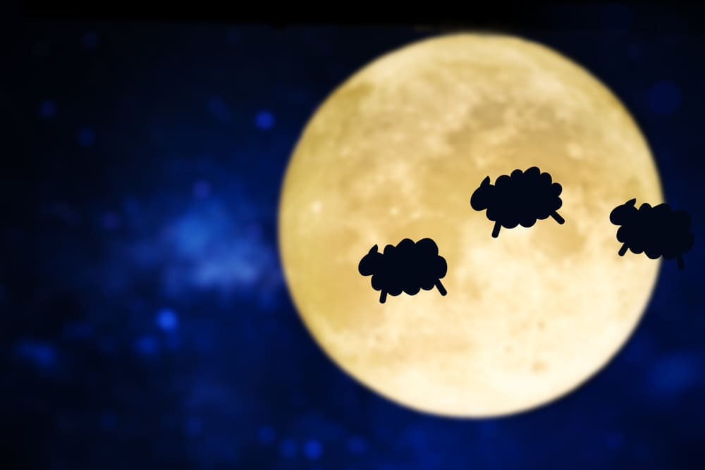 counting-sheep-silhouette-full-moon (1).jpg