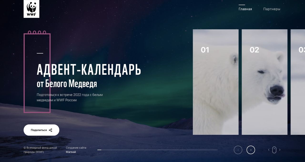 Скриншот новогоднего Адвент-календаря от WWF России.jpg
