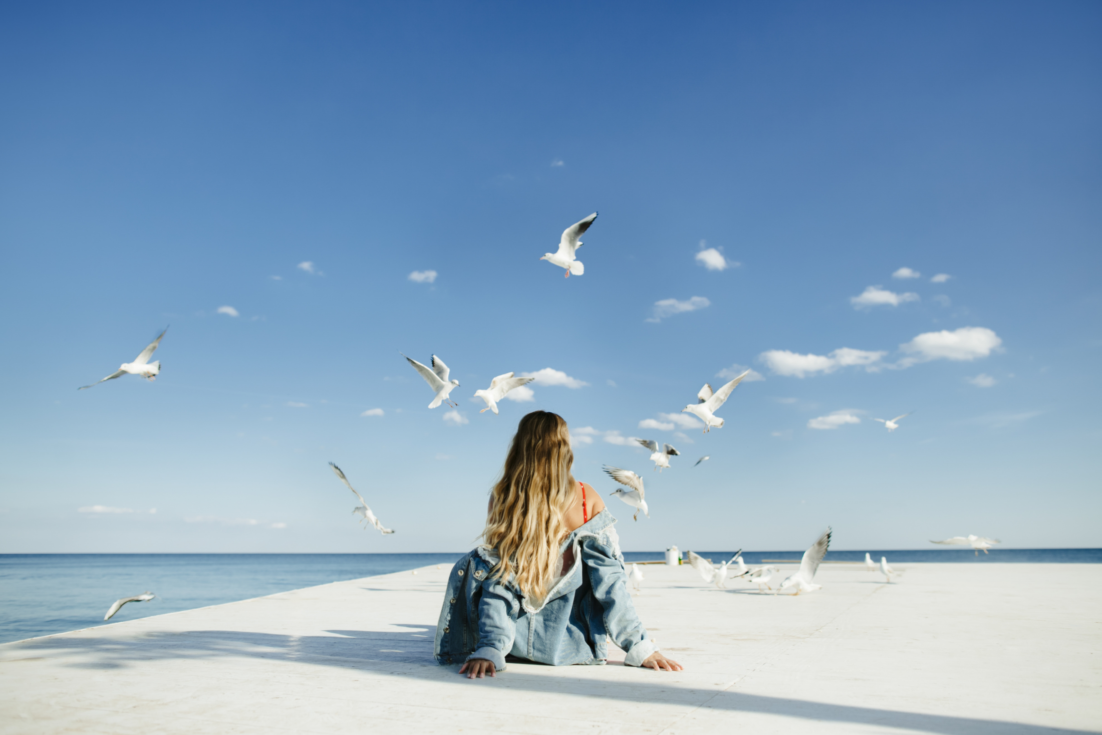 girl-sits-berth-watch-seagulls.jpg