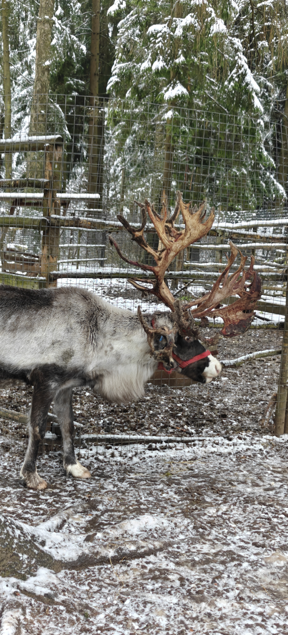 IMG_2072.jpeg IMG_2072.jpeg