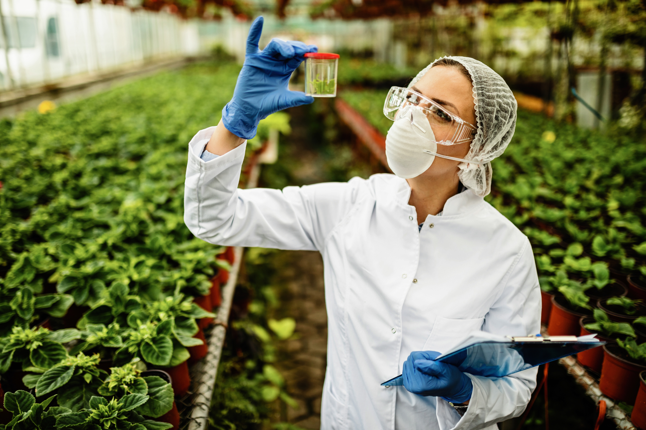 female-botanist-examining-plant-sample-during-quality-control-inspection-greenhouse.jpg