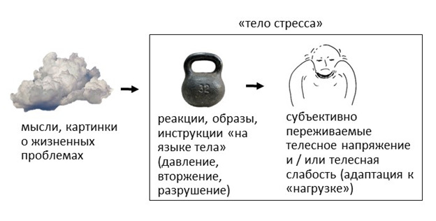 Рисунок3.jpg Рисунок3.jpg