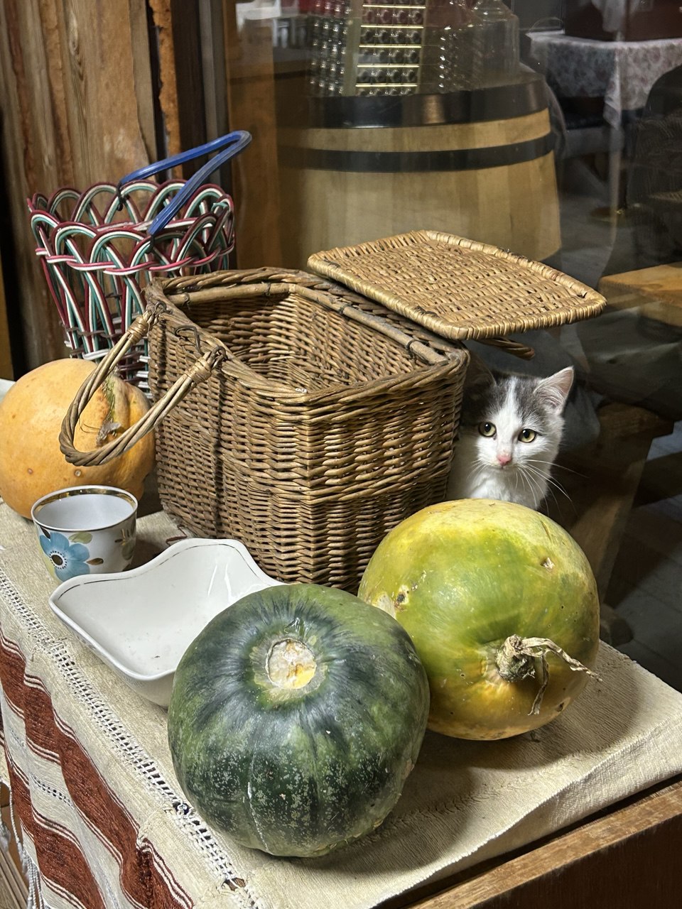 IMG_2068.jpeg IMG_2068.jpeg