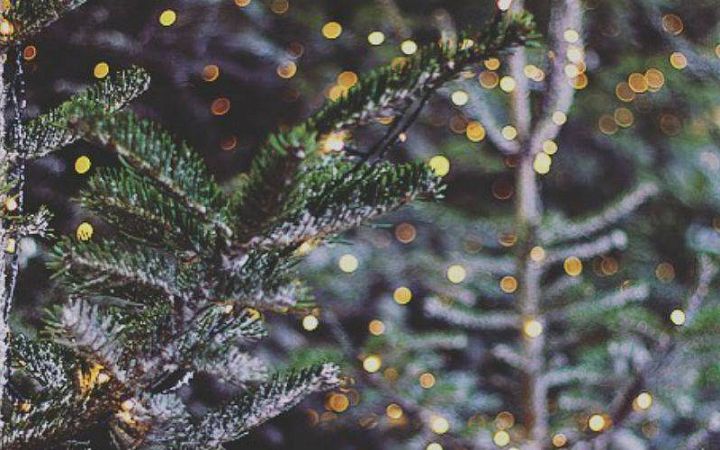Астрологический прогноз на декабрь: предновогоднее настроение и «дно» года