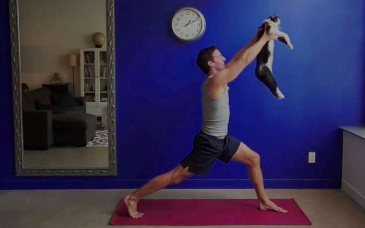 Этот парень научит вас, как заниматься йогой с кошками