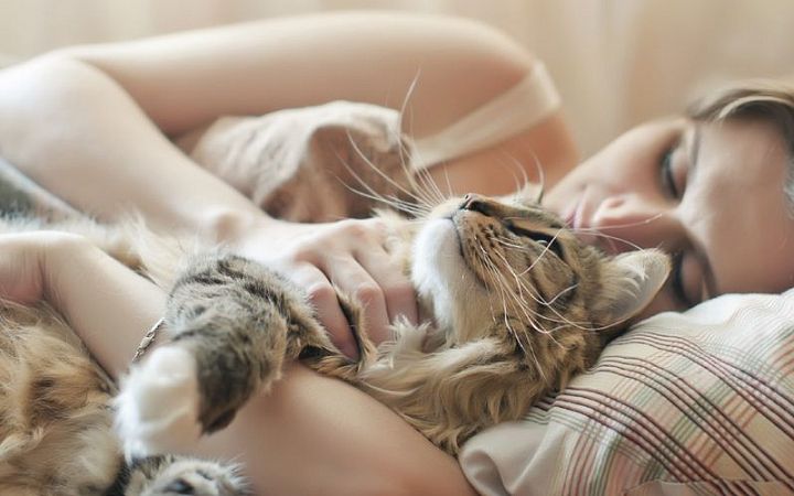 5 советов, как сладко спать каждый день