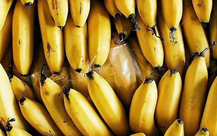 Польза и вред бананов с молоком